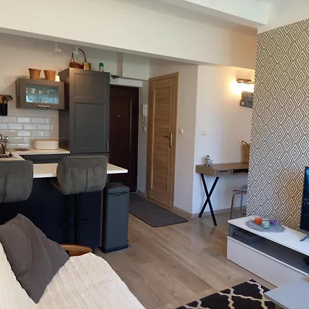 Apartment Ridii Mieszkanie Wakacyjne 800m Od Plazy - Brzezno - Azw *